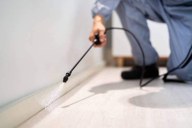 Best Pest Removal Services  in Millersburg, OR